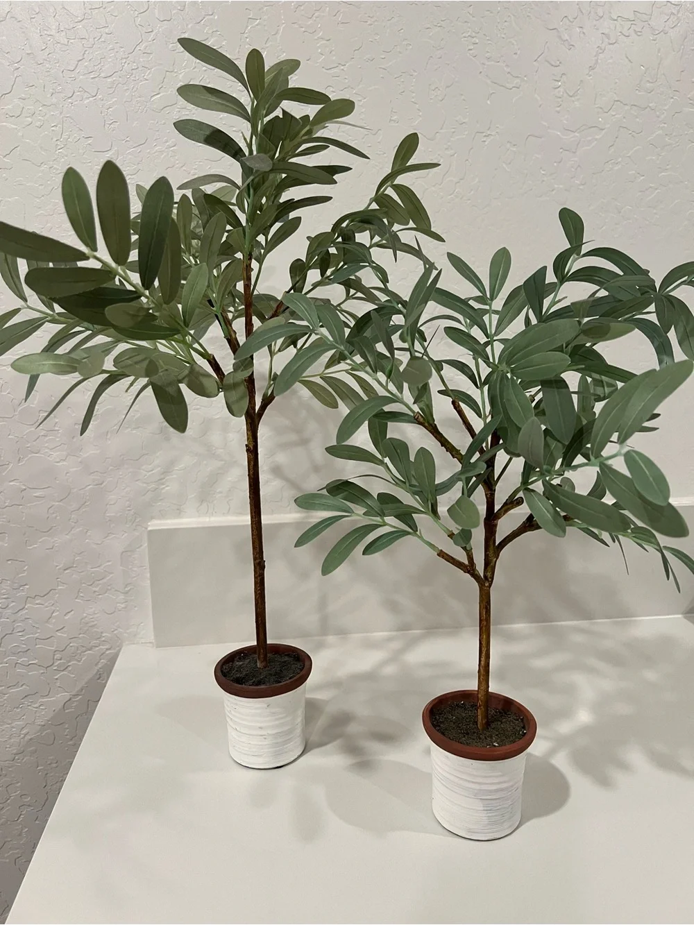 Faux Olive Trees  Grey pot not included Taller: 23” ht Shorter: 19” ht